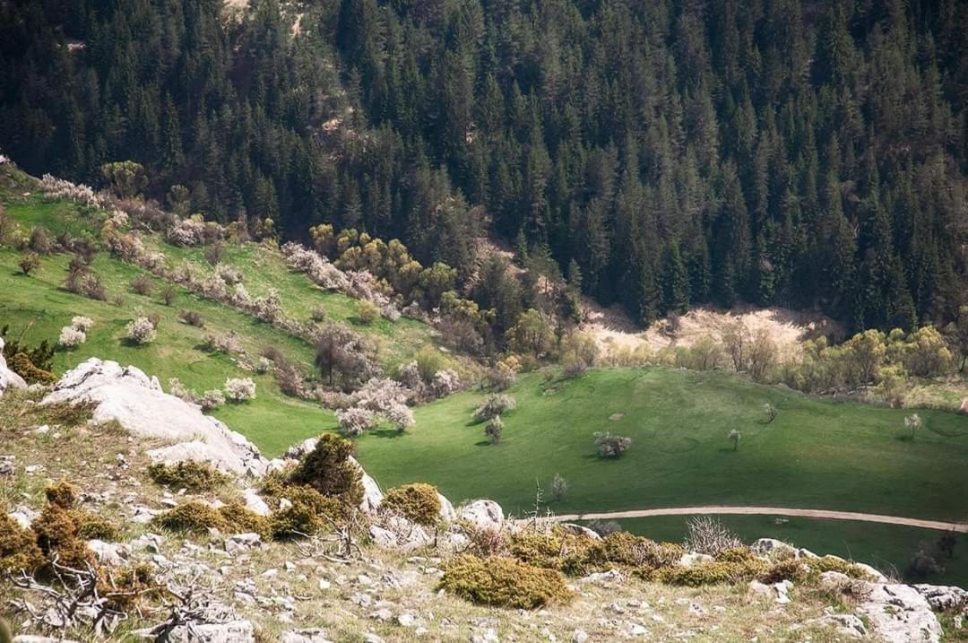 Вила Здравец Yagodina Exterior foto